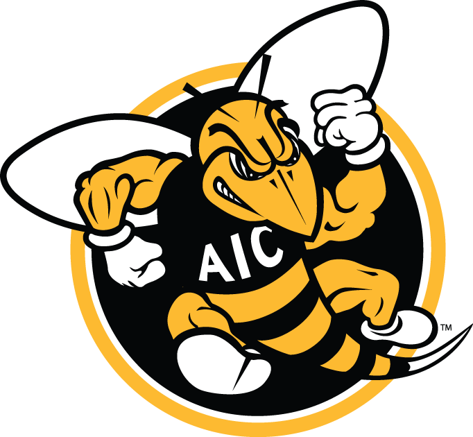 AIC Yellow Jackets 2009-Pres Alternate Logo iron on transfers for fabric